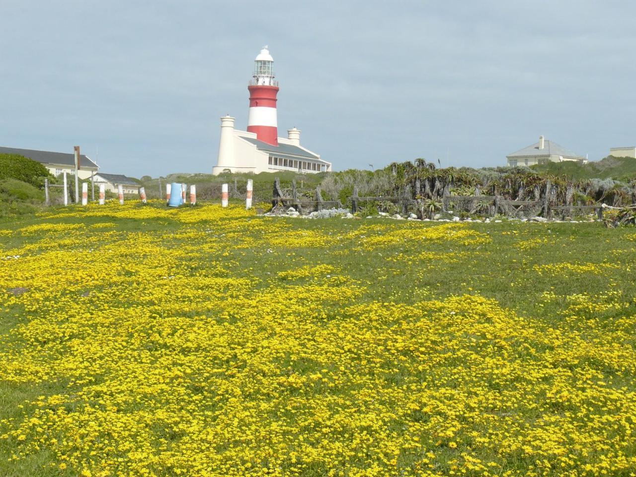 House Of 2 Oceans Apartment Agulhas Exterior photo